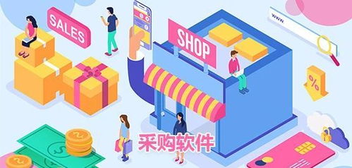 政務(wù)軟件系統(tǒng)采購(gòu)與信息技術(shù)咨詢服務(wù)指南